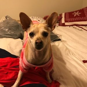 Meet your Posher, Angie